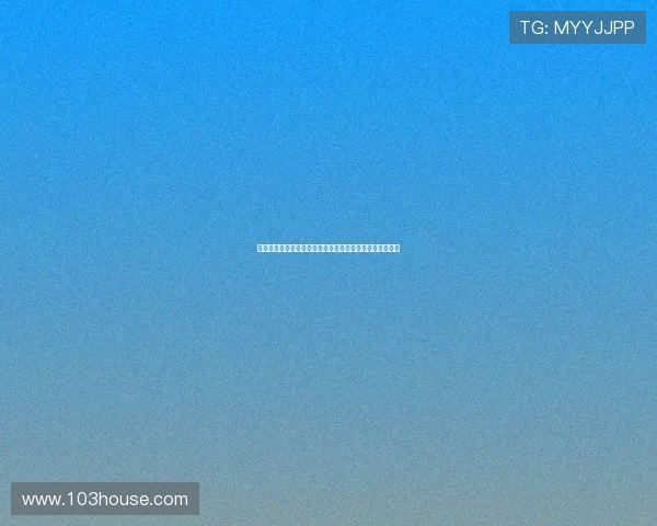 法甲球员本赛季数据全解析:进球助攻与表现亮点一网打尽